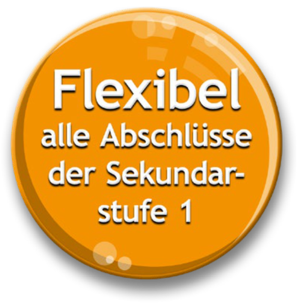 Flexibel &ndash; alle Abschl&uuml;sse der Sekundarstufe 1